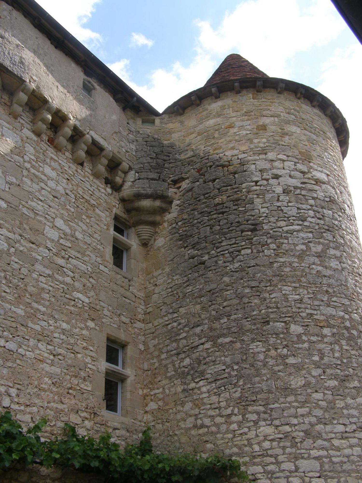 Chateau De Camboulan Ambeyrac Экстерьер фото