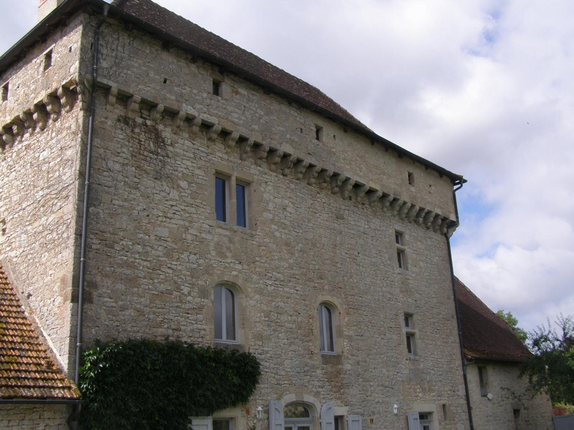 Chateau De Camboulan Ambeyrac Экстерьер фото